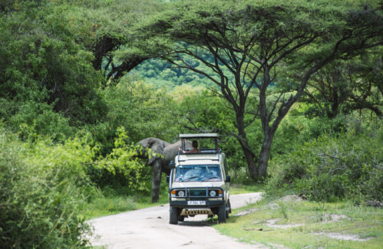 tarangire national park