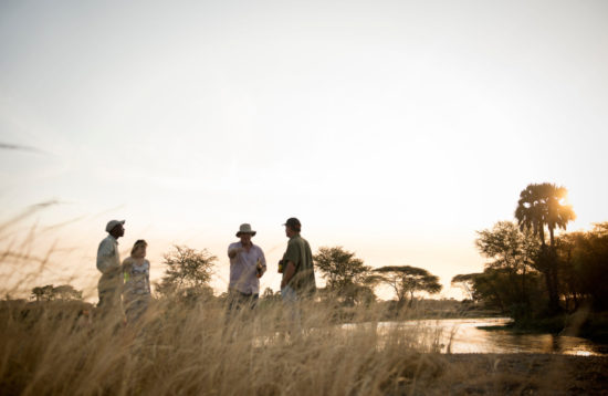 katavi walking safari