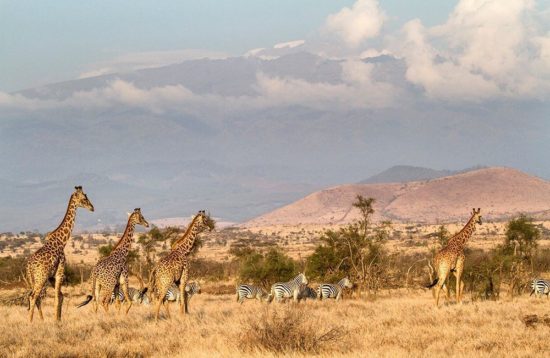 ndarakwai ranch