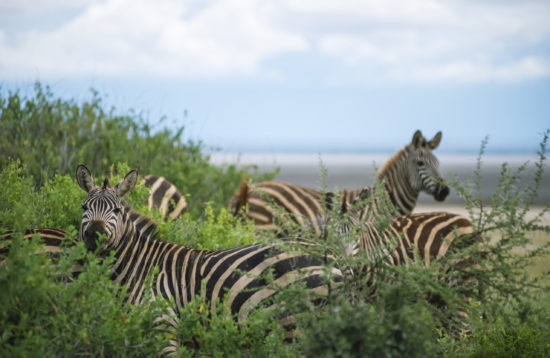 ARUSHA NATIONAL PARK