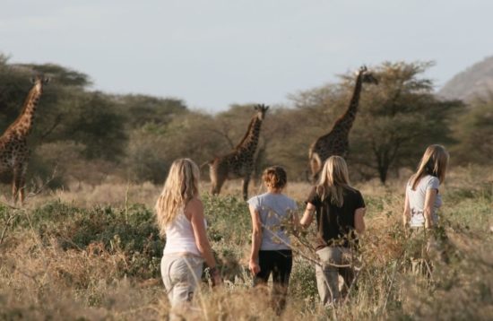 Arusha national park